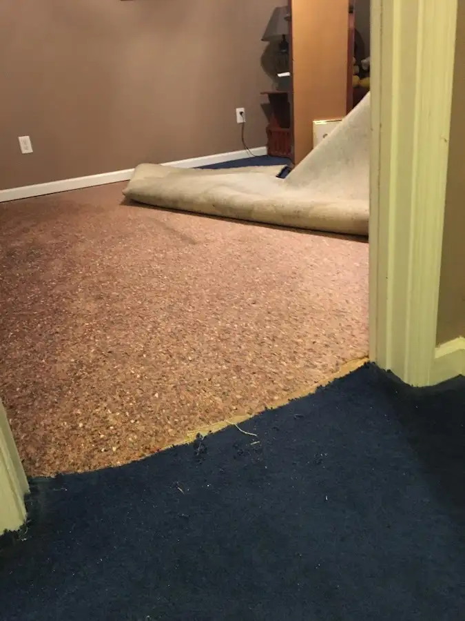 Carpet pad removal revealing water damage during Water Mitigation Services in Bay City