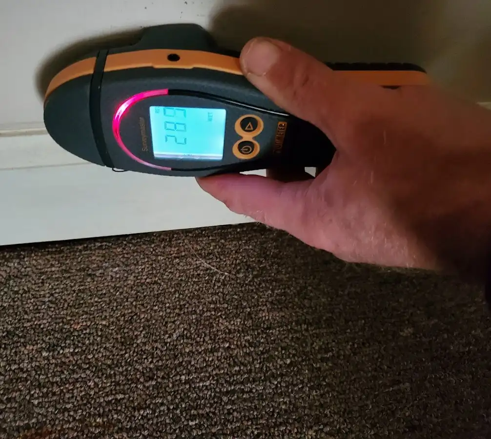 Moisture detection at baseboard during Sewage Cleanup & Sanitation in Bay City